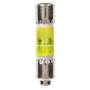 STERIS P117902-672 Fuse 10A 600V - 2028