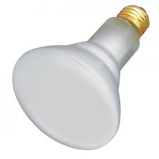STERIS P117903-100 Light Bulb - 2034