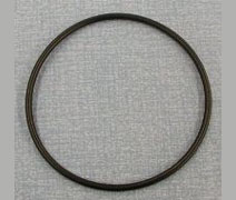 STERIS 450622 O-Ring Prefilter Housing (2 reqd) - 2570