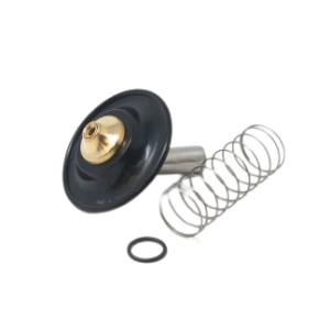 PRIMUS 463284K Solenoid Water Valve Rebuild Kit 3/4" Brass - 5502