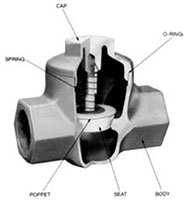 WASHER SOLUTIONS WS5589 Check Valve 1-1/4" (MTP) - 5589