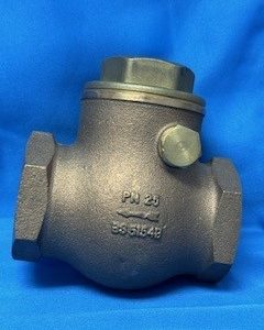 TUTTNAUER ARM172-0006 Check Valve Swing 1-1/4" - 8193