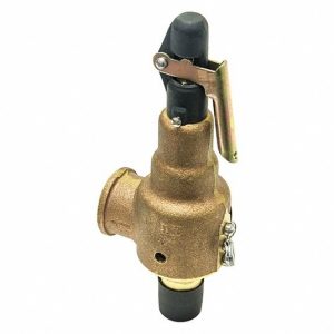 GETINGE 61301608100 Safety Valve 1/2 x 3/4" 45 PSI - 3698