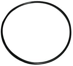 STERIS P764331-213 Filter Housing Head O-Ring - 3874