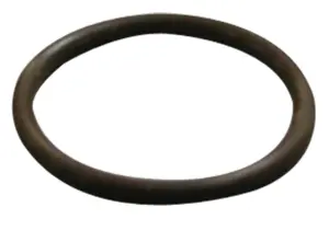 STERIS P117956-044 Viton O-Ring 7/8" x 3/4" - 12344