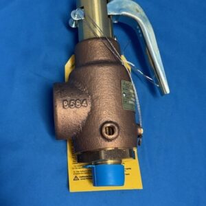 ELECTROSTEAM 12005 Safety Valve 3/4" x 1-1/4" 100PSI - 12492